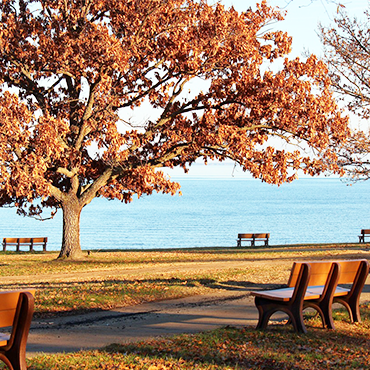 Chesapeake Bay